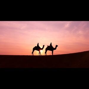 Meet your Posher, Neator